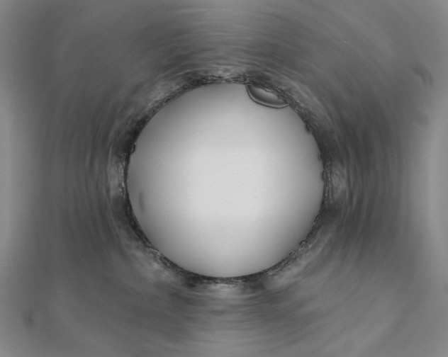 X0000112060236200908251028