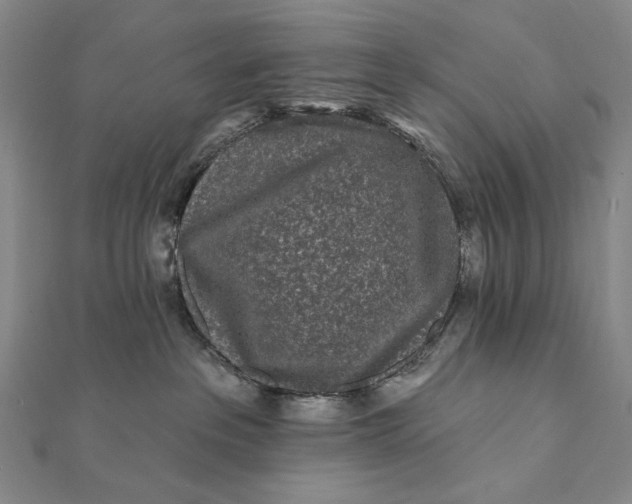 X0000112060237200908251028