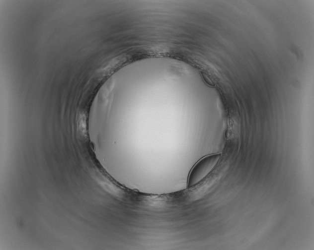 X0000112060238200908251028