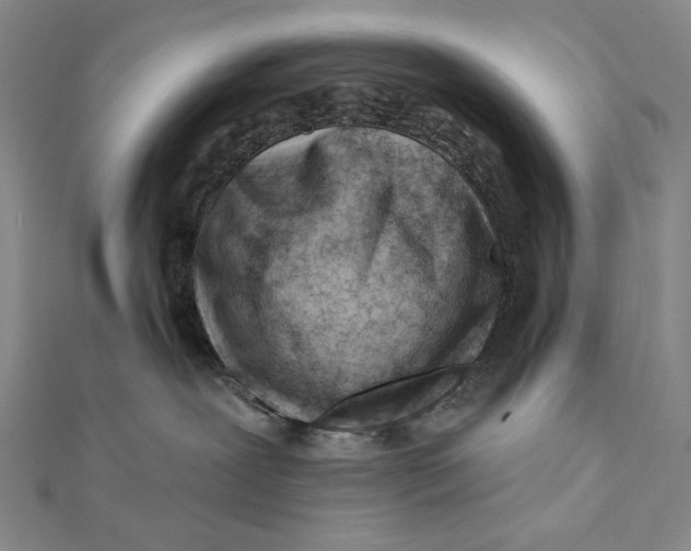 X0000112060239200908251028