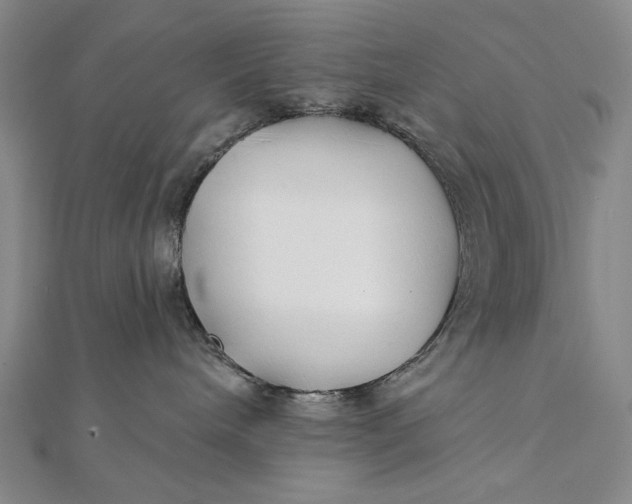 X0000112060240200908251028