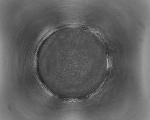 X0000112060243200908251027