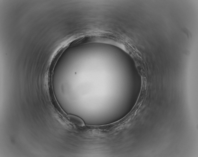 X0000112060244200908251027