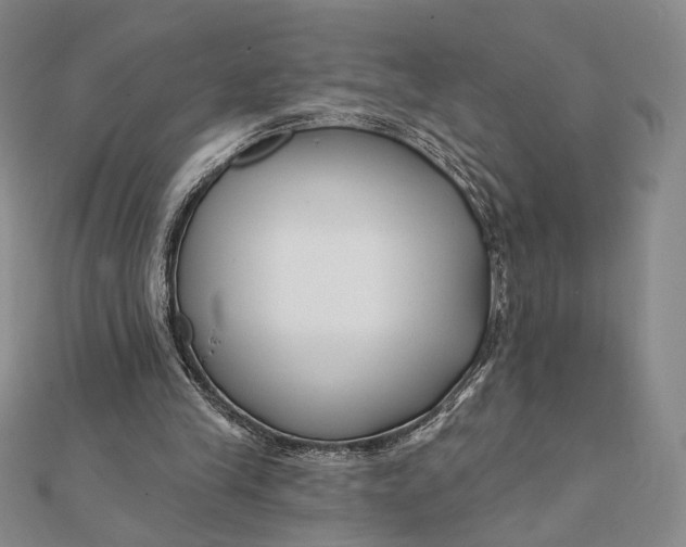 X0000112060245200908251027