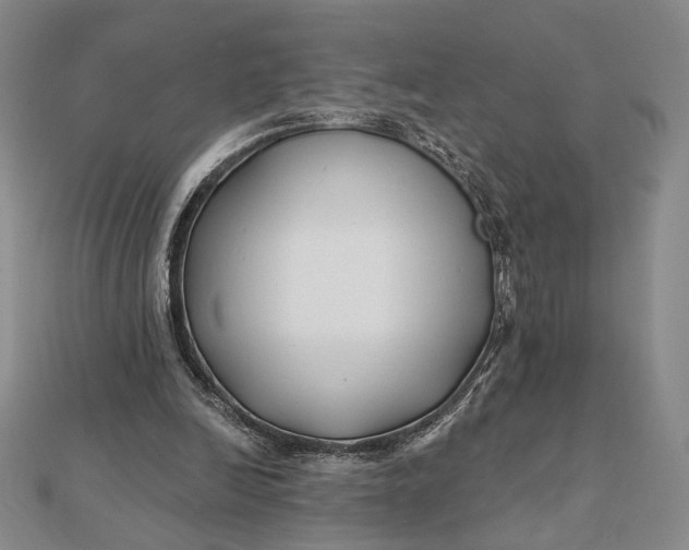 X0000112060246200908251027