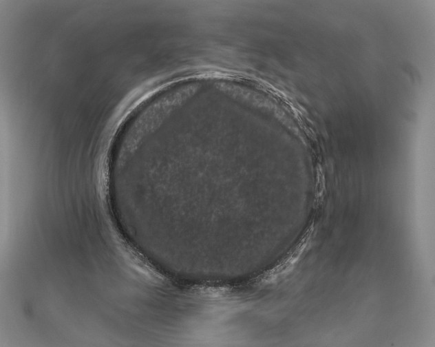 X0000112060247200908251027