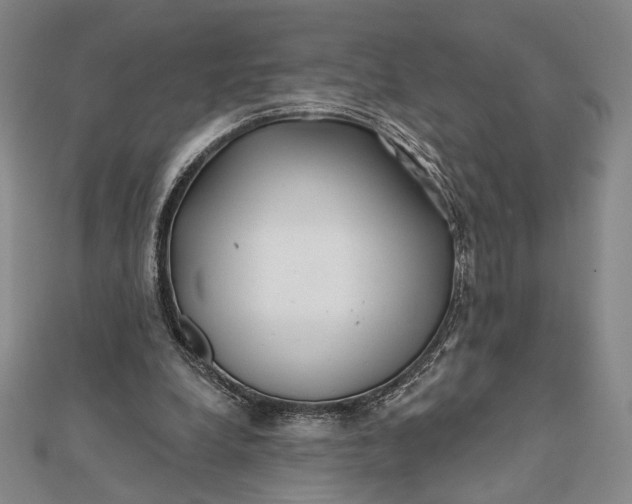 X0000112060248200908251027