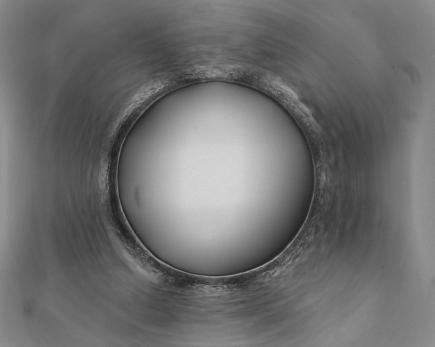 X0000112060250200908251027