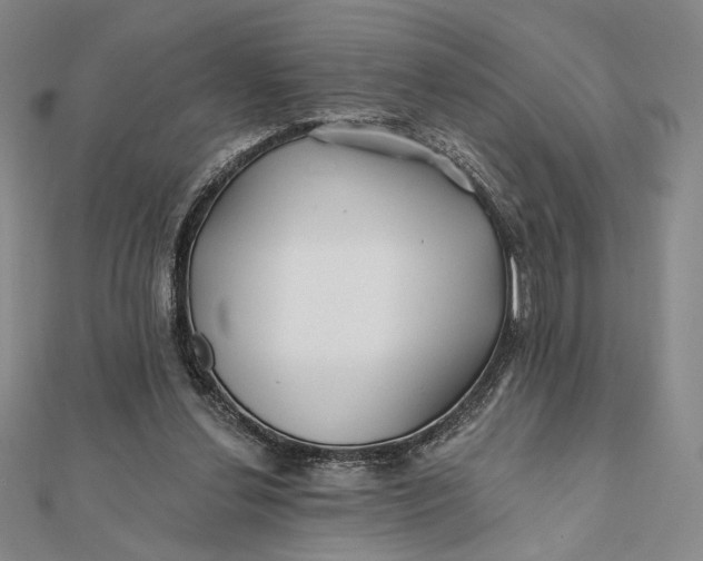 X0000112060252200908251027