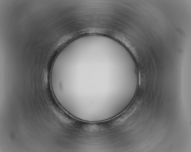 X0000112060253200908251027