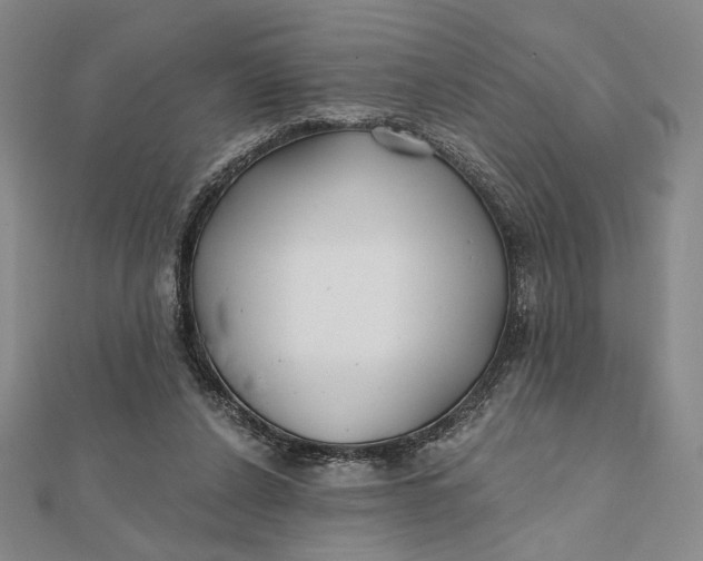 X0000112060256200908251027