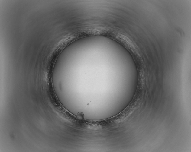 X0000112060258200908251027