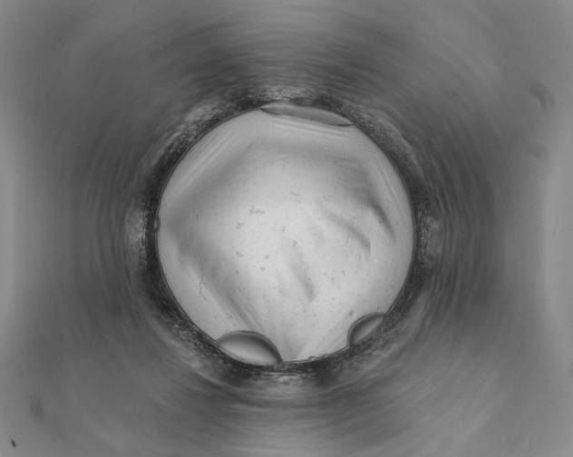 X0000112060260200908251027