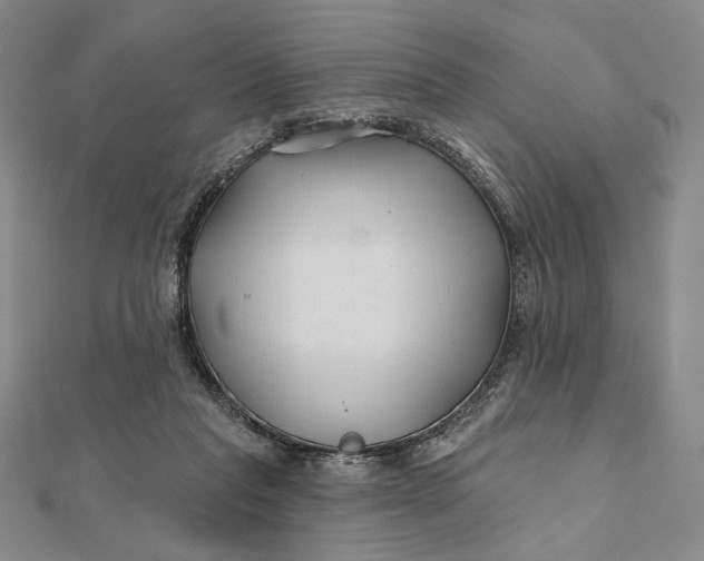 X0000112060261200908251027