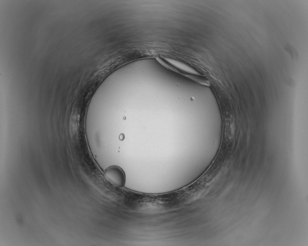 X0000112060263200908251027