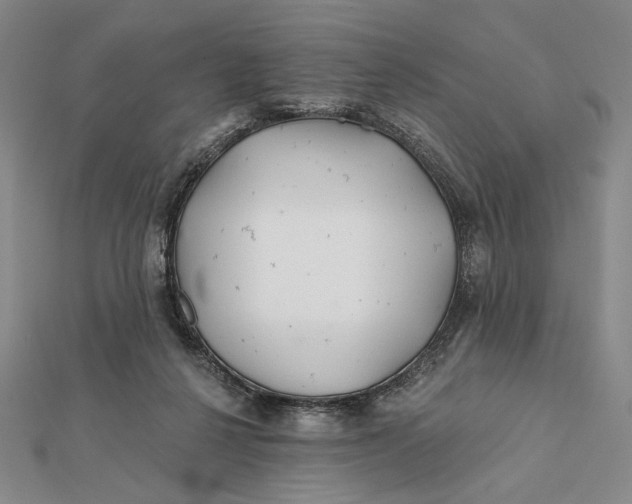 X0000112060264200908251027