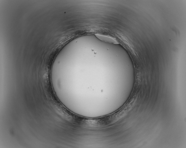 X0000112060265200908251027