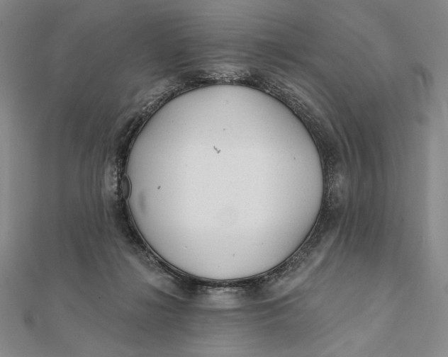 X0000112060268200908251028