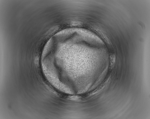 X0000112060269200908251028