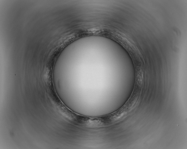 X0000112060270200908251028