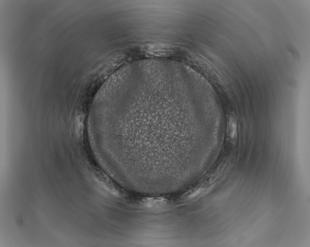 X0000112060271200908251028