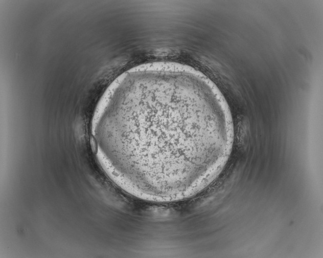 X0000112060272200908251028