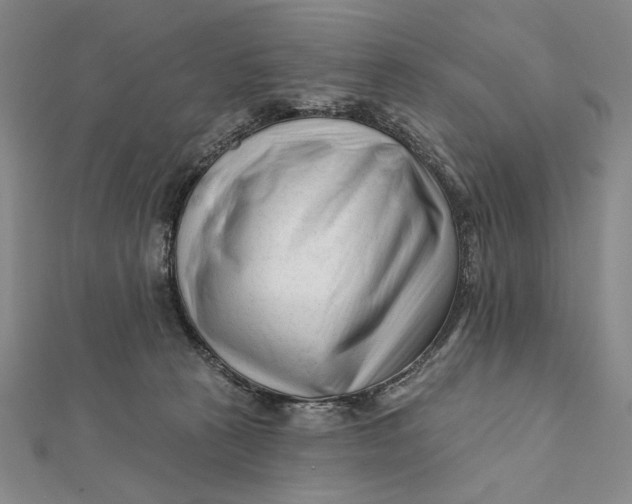 X0000112060273200908251028