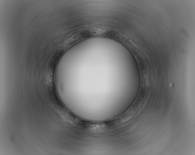 X0000112060274200908251028