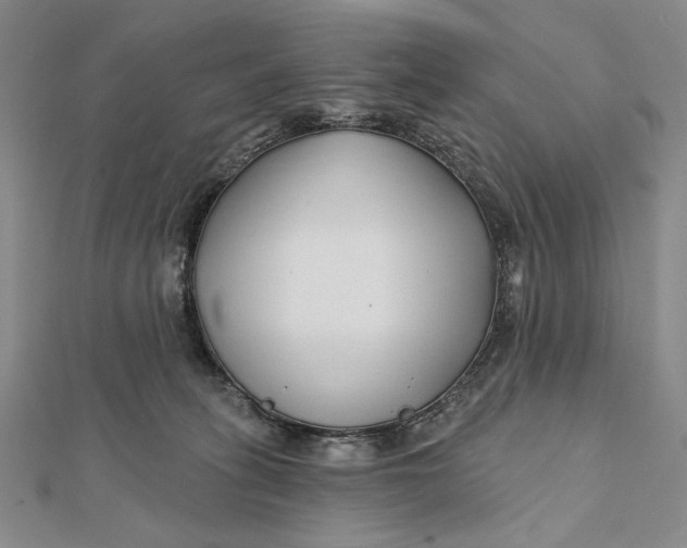 X0000112060275200908251028