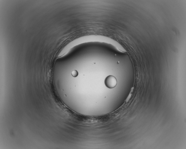 X0000112060276200908251028