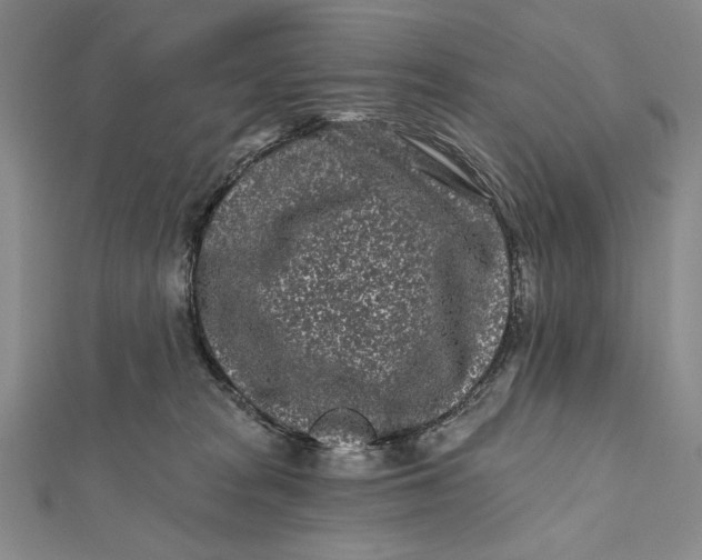 X0000112060277200908251028