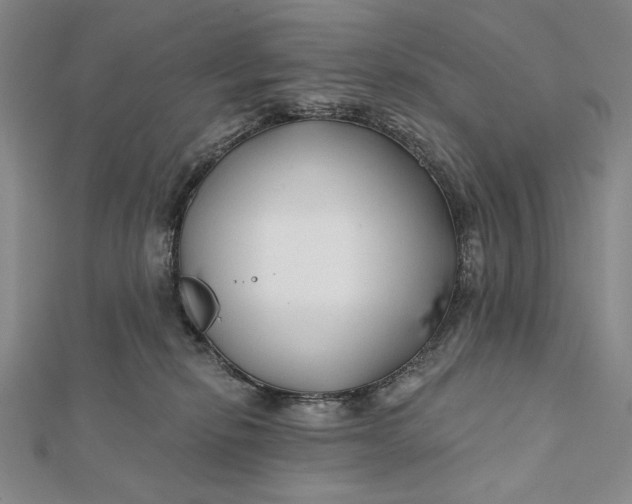 X0000112060278200908251028