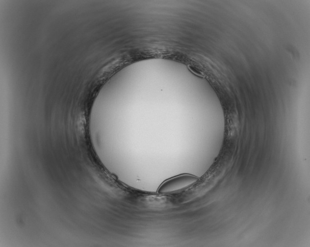 X0000112060279200908251028