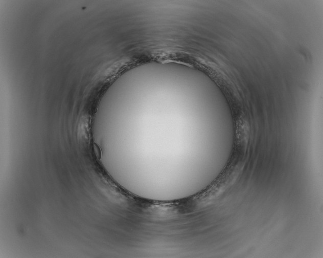 X0000112060280200908251028