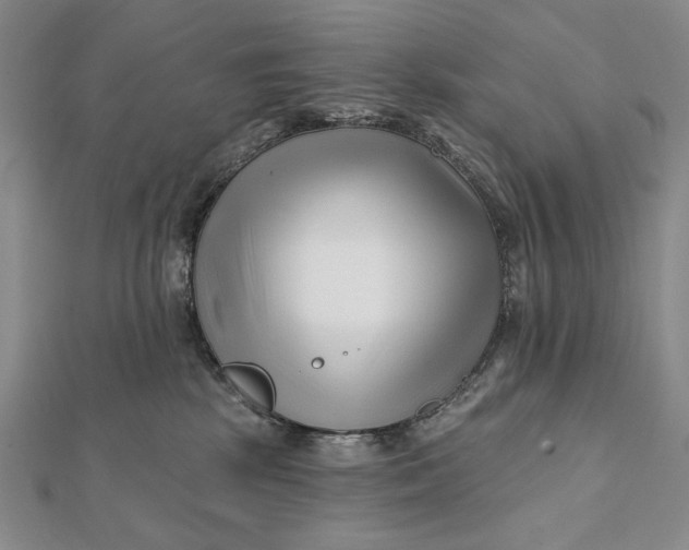 X0000112060281200908251028