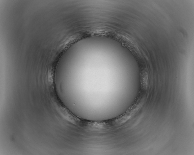 X0000112060282200908251028