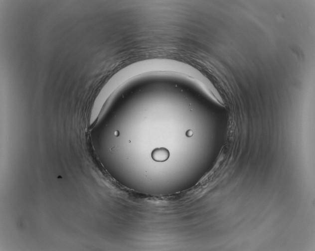 X0000112060284200908251028