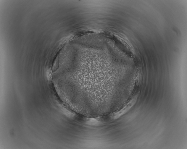 X0000112060285200908251028