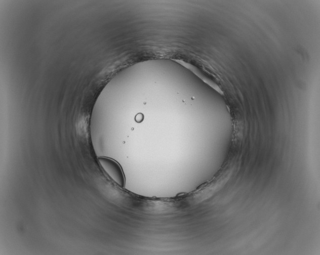 X0000112060286200908251028