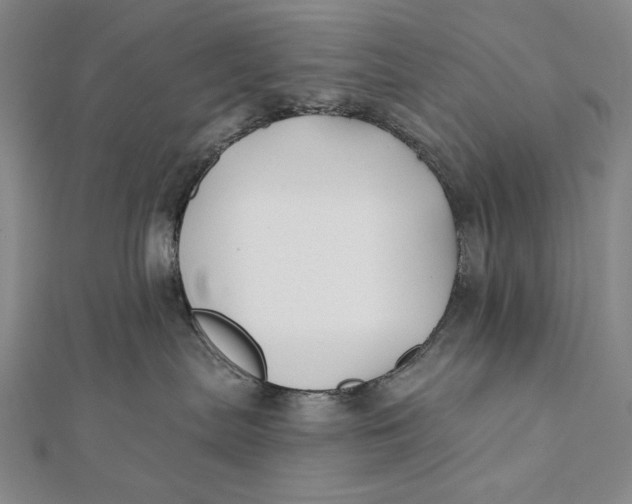 X0000112060287200908251028