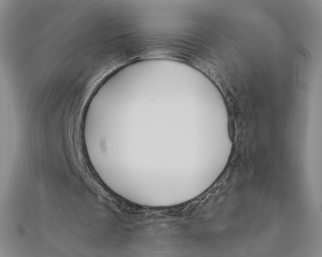 X0000112060289200908251027