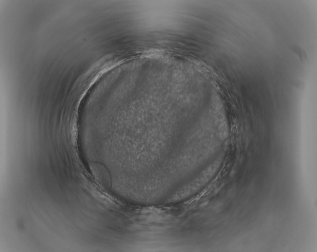 X0000112060290200908251027