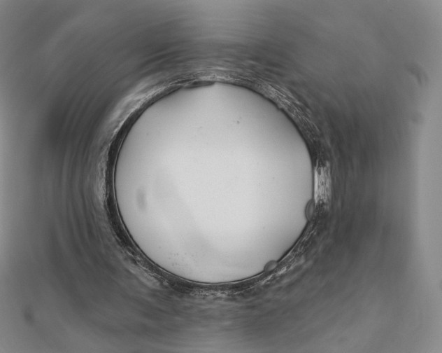 X0000112060291200908251027