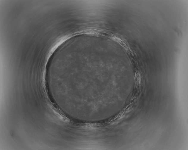 X0000112060292200908251027