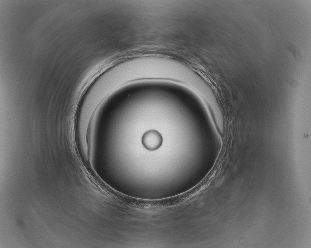 X0000112060293200908251027