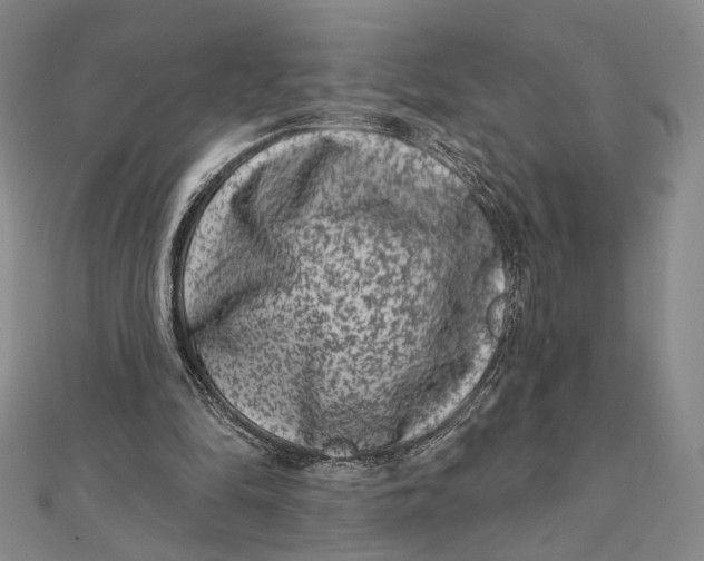 X0000112060294200908251027