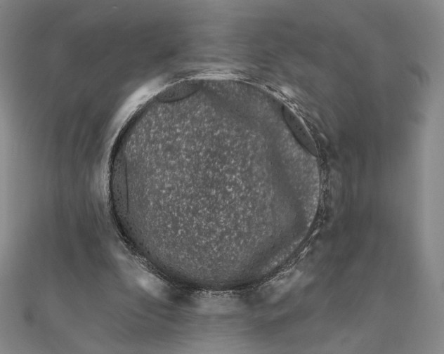 X0000112060296200908251027