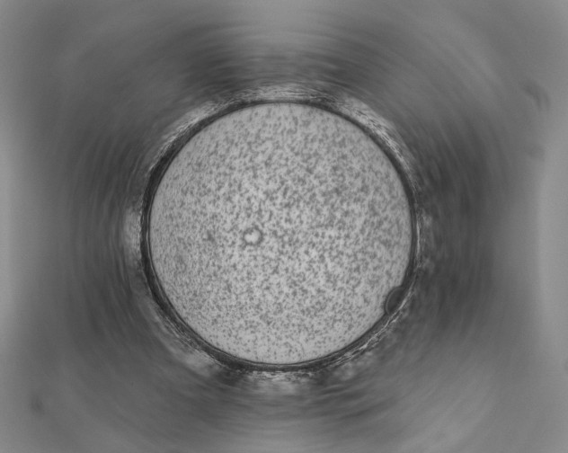 X0000112060297200908251027