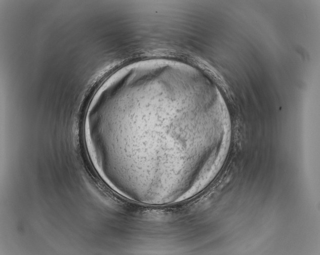 X0000112060298200908251027