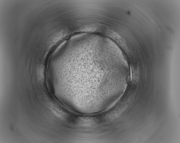 X0000112060300200908251027